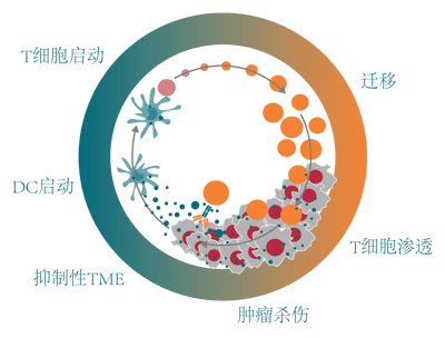 Immuno-Oncology Assays