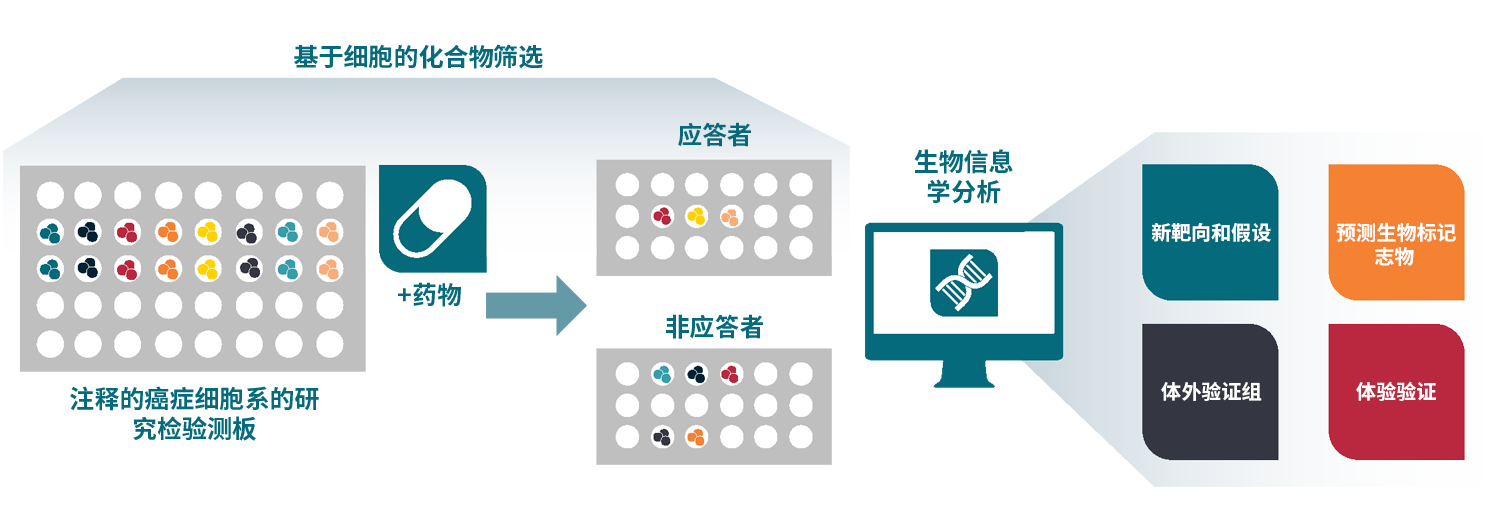 concept of a well validated, large-scale, in vitro, cancer cell line panel screening platform