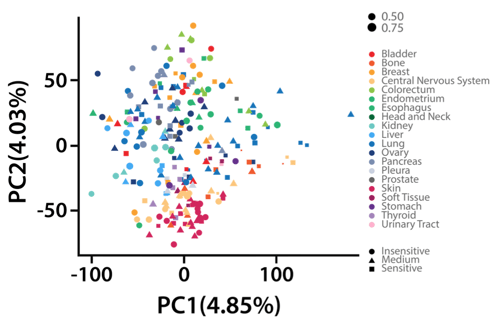 genomics services example data showing global gene expression of cell lines
