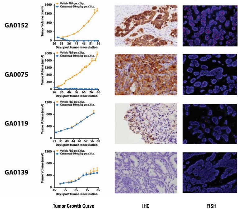 data of gene signature analysis